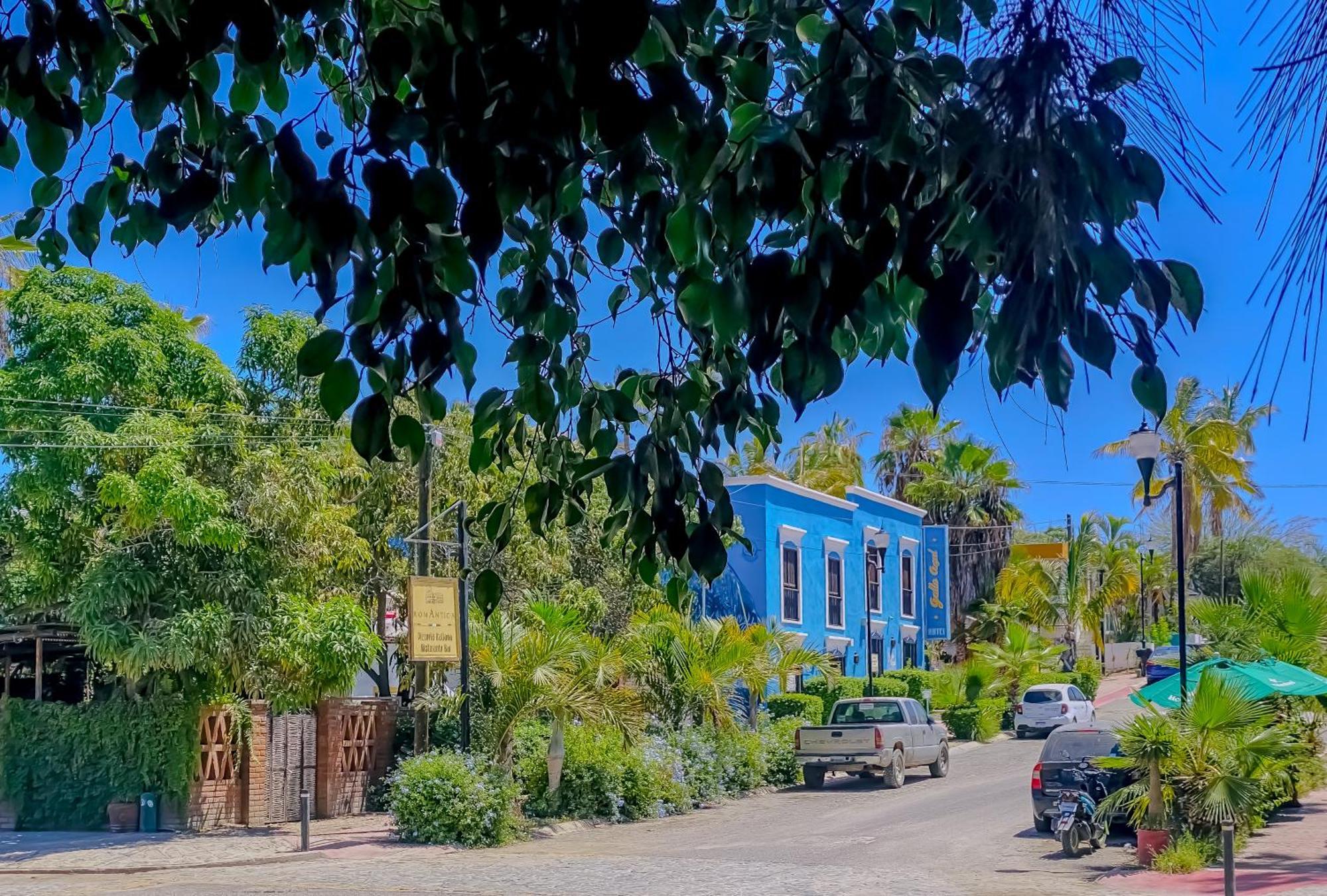 Gallo Azul Hotel, En El Corazon De Todos Santos Eksteriør billede