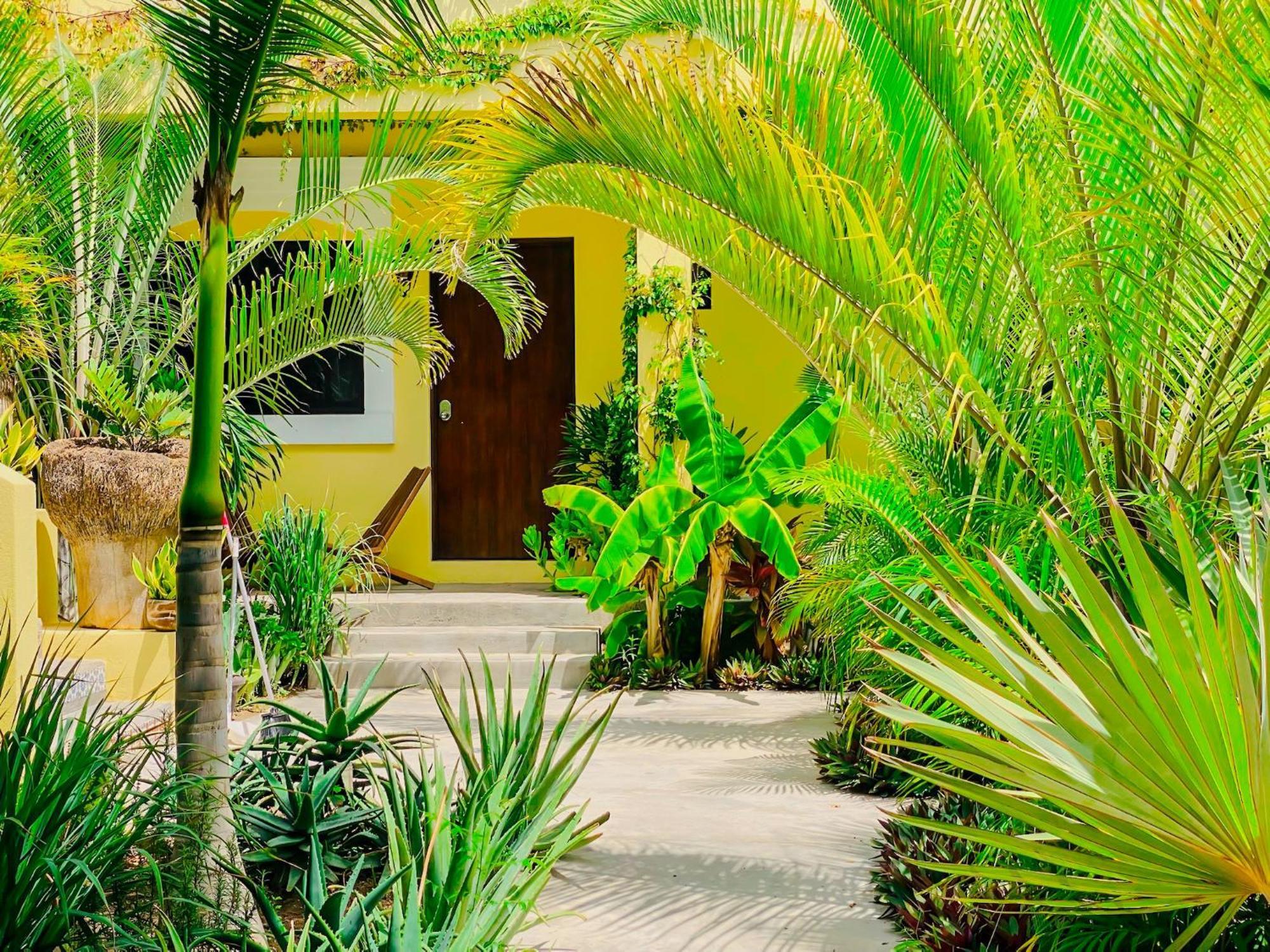 Gallo Azul Hotel, En El Corazon De Todos Santos Eksteriør billede