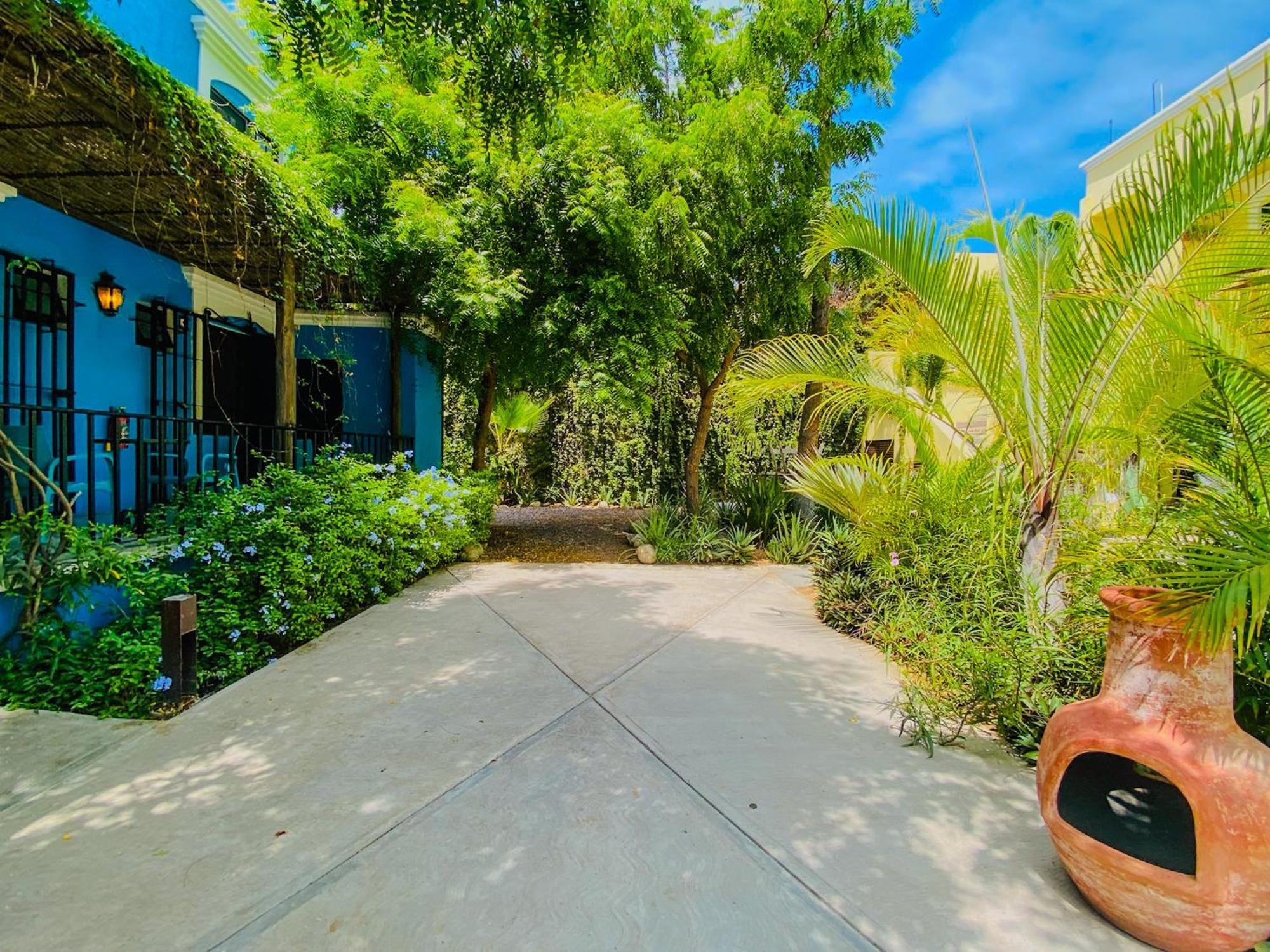 Gallo Azul Hotel, En El Corazon De Todos Santos Eksteriør billede