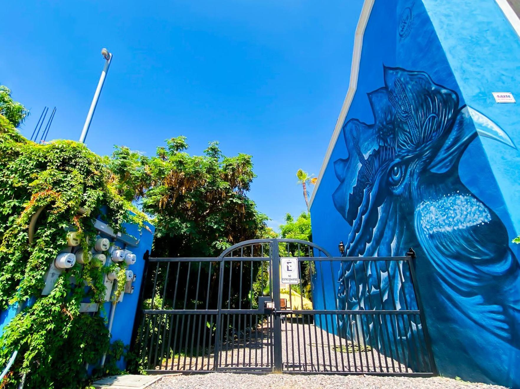 Gallo Azul Hotel, En El Corazon De Todos Santos Eksteriør billede