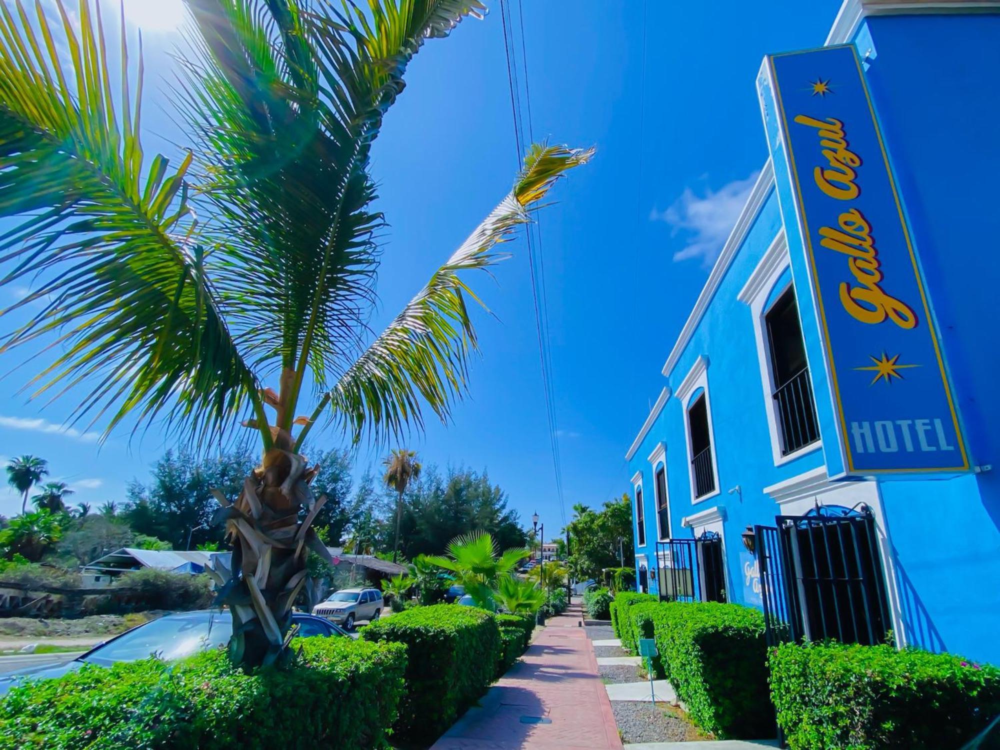 Gallo Azul Hotel, En El Corazon De Todos Santos Eksteriør billede