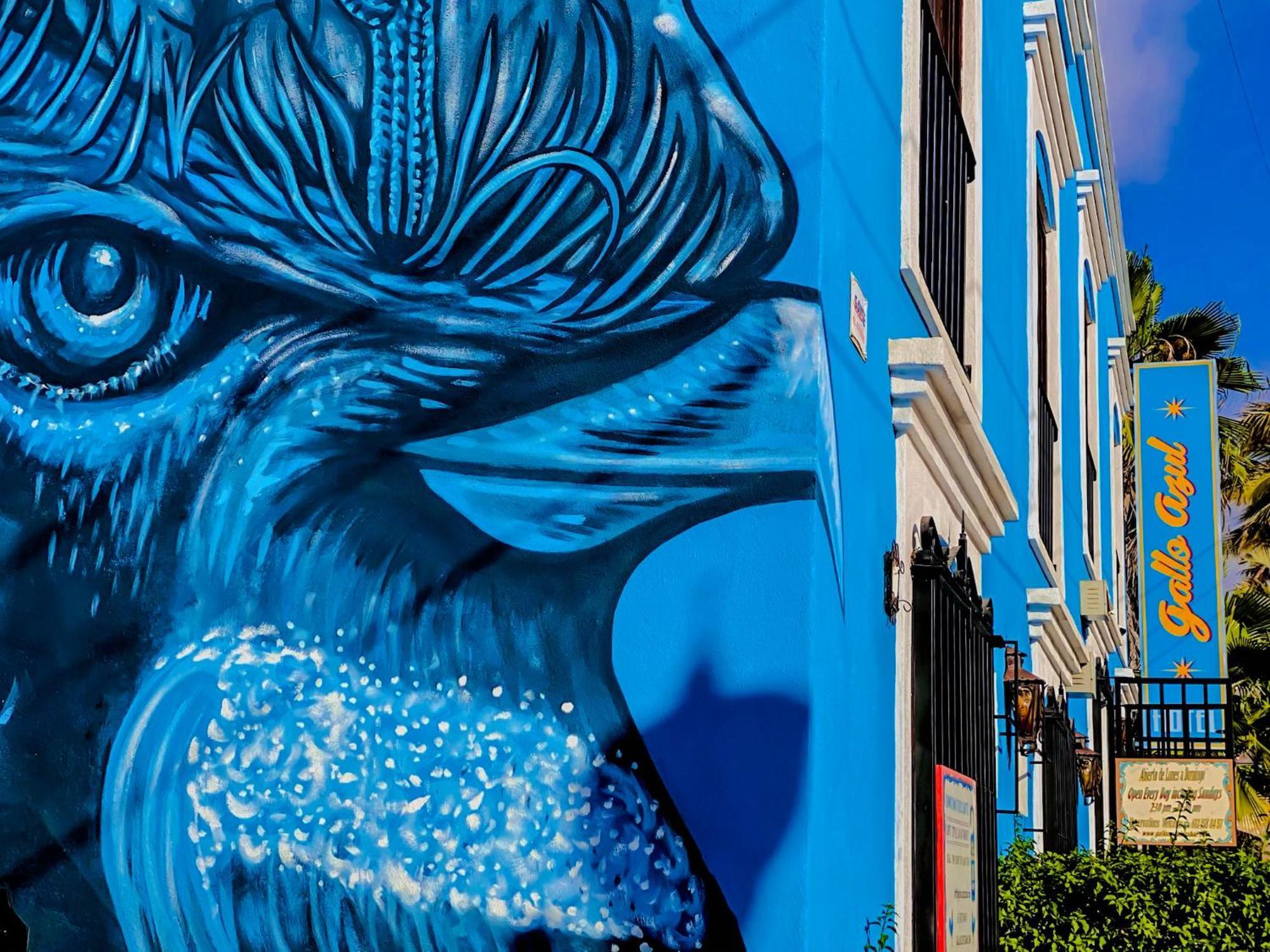 Gallo Azul Hotel, En El Corazon De Todos Santos Eksteriør billede